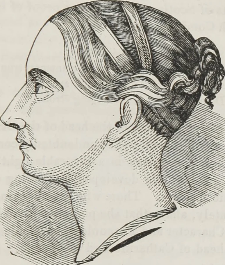 An illustration from Marriage, its history and ceremonies : with a phrenological and physiological exposition of the functions and qualifications for happy marriages, 1848, leaf 106