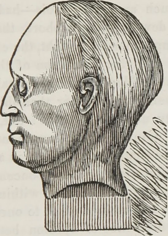 An illustration from Marriage, its history and ceremonies : with a phrenological and physiological exposition of the functions and qualifications for happy marriages, 1848, leaf 112