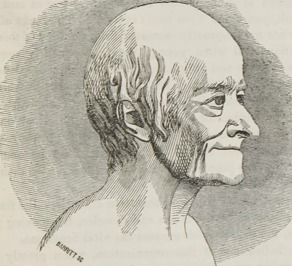 An illustration from Marriage, its history and ceremonies : with a phrenological and physiological exposition of the functions and qualifications for happy marriages, 1848, leaf 180