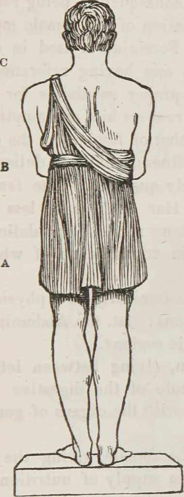 An illustration from Marriage, its history and ceremonies : with a phrenological and physiological exposition of the functions and qualifications for happy marriages, 1848, leaf 202