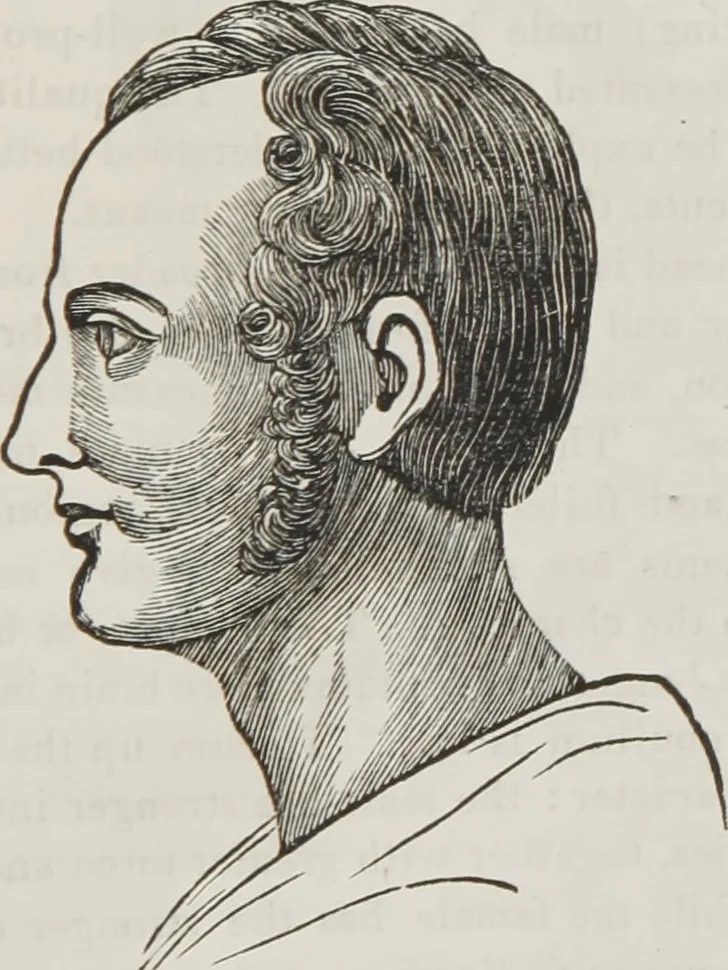 An illustration from Marriage, its history and ceremonies : with a phrenological and physiological exposition of the functions and qualifications for happy marriages, 1848, leaf 204