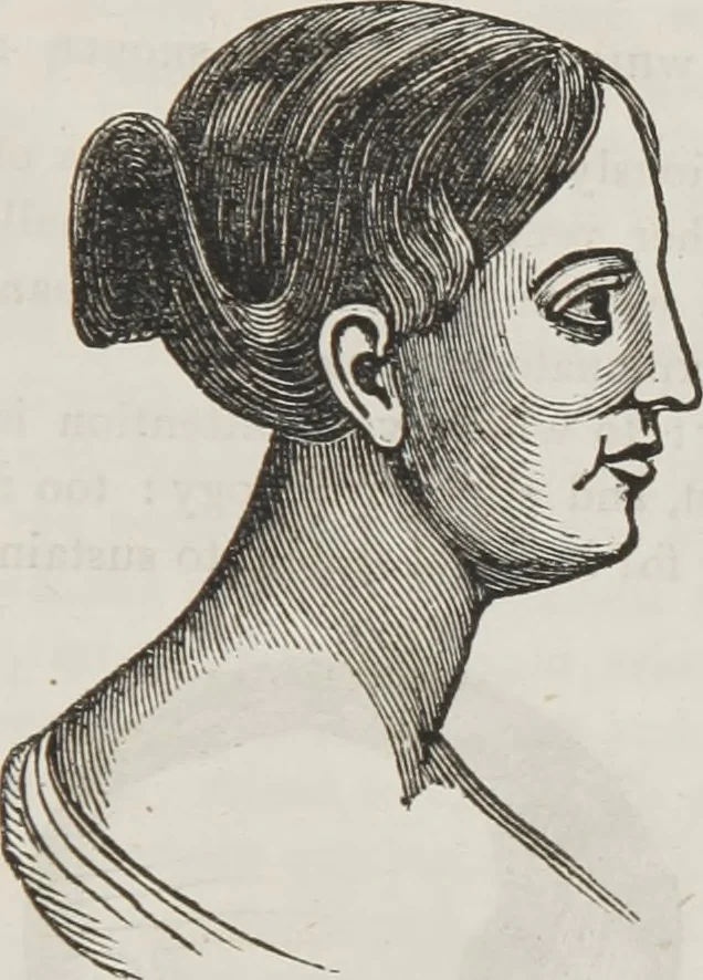 An illustration from Marriage, its history and ceremonies : with a phrenological and physiological exposition of the functions and qualifications for happy marriages, 1848, leaf 206