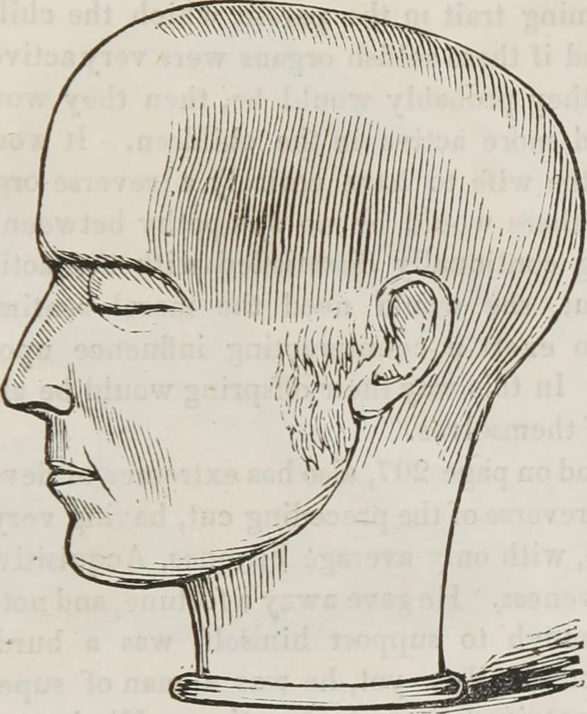 An illustration from Marriage, its history and ceremonies : with a phrenological and physiological exposition of the functions and qualifications for happy marriages, 1848, leaf 210