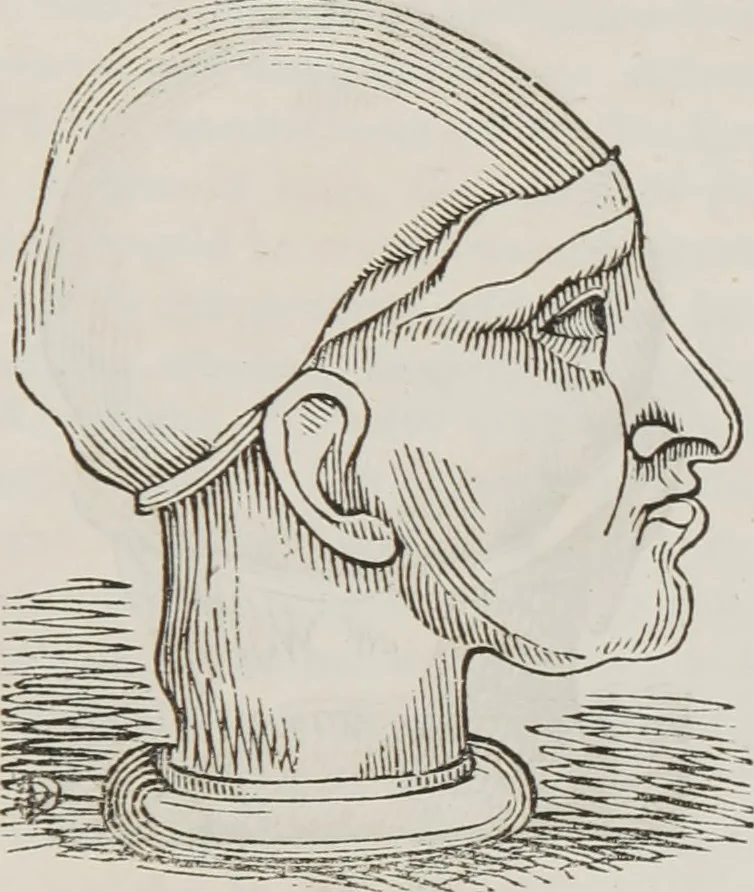 An illustration from Marriage, its history and ceremonies : with a phrenological and physiological exposition of the functions and qualifications for happy marriages, 1848, leaf 212