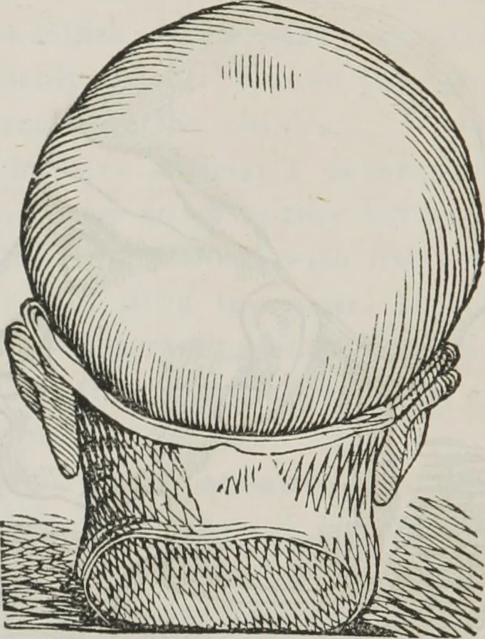 An illustration from Marriage, its history and ceremonies : with a phrenological and physiological exposition of the functions and qualifications for happy marriages, 1848, leaf 213