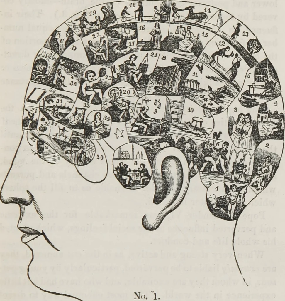 An illustration from Marriage, its history and ceremonies : with a phrenological and physiological exposition of the functions and qualifications for happy marriages, 1848, leaf 76