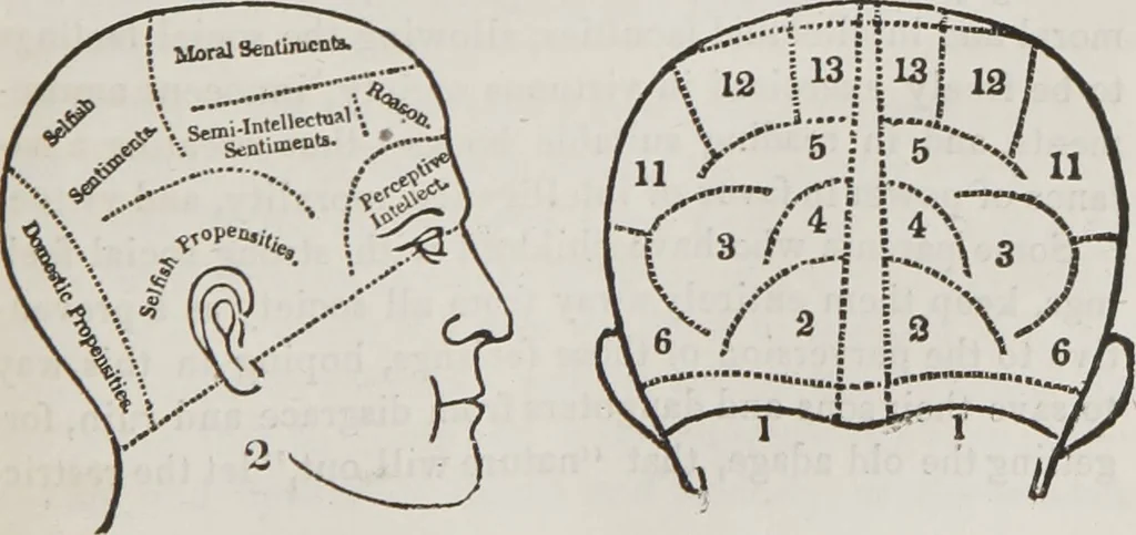 An illustration from Marriage, its history and ceremonies : with a phrenological and physiological exposition of the functions and qualifications for happy marriages, 1848, leaf 76