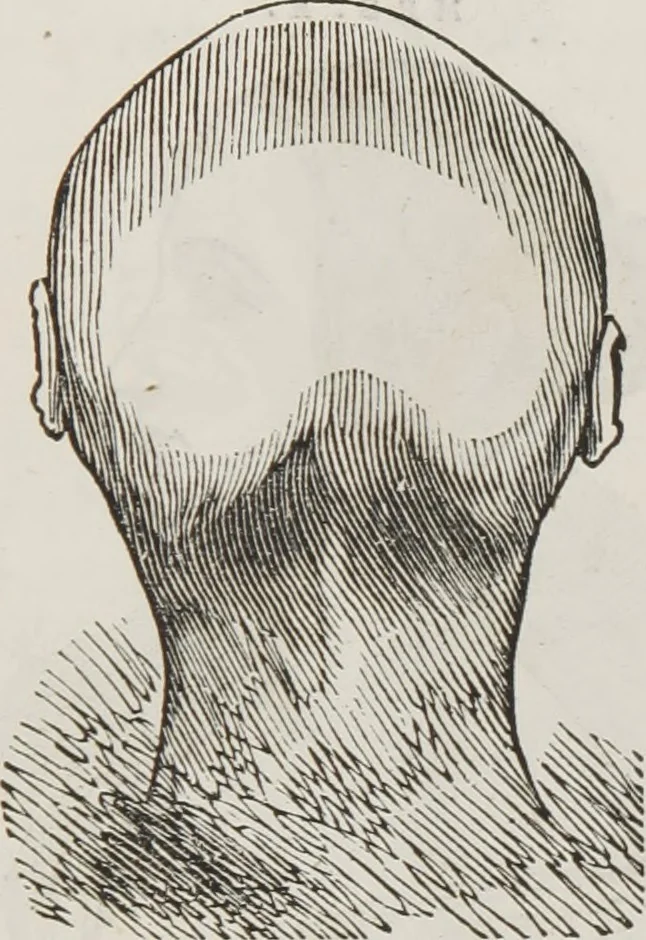An illustration from Marriage, its history and ceremonies : with a phrenological and physiological exposition of the functions and qualifications for happy marriages, 1848, leaf 80