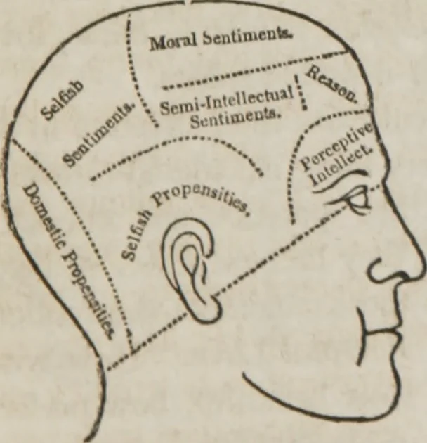 An illustration from Matrimony, or, Phrenology and physiology applied to the selection of congenial companions for life : including directions to the married for living together affectionately and happily, 1851, leaf 22