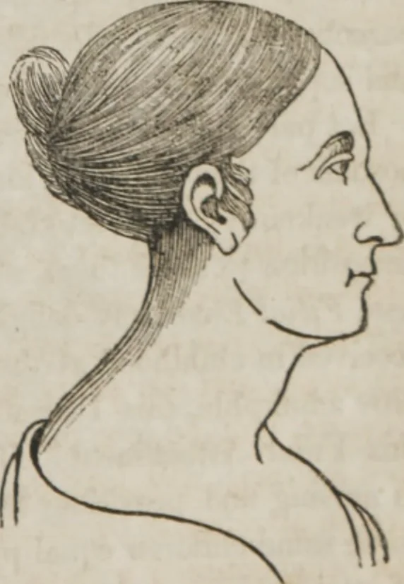 An illustration from Matrimony, or, Phrenology and physiology applied to the selection of congenial companions for life : including directions to the married for living together affectionately and happily, 1851, leaf 22