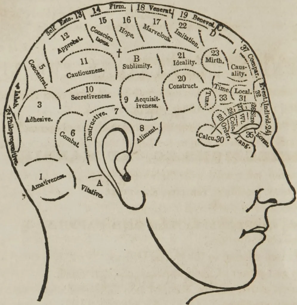 An illustration from Matrimony, or, Phrenology and physiology applied to the selection of congenial companions for life : including directions to the married for living together affectionately and happily, 1851, leaf 3