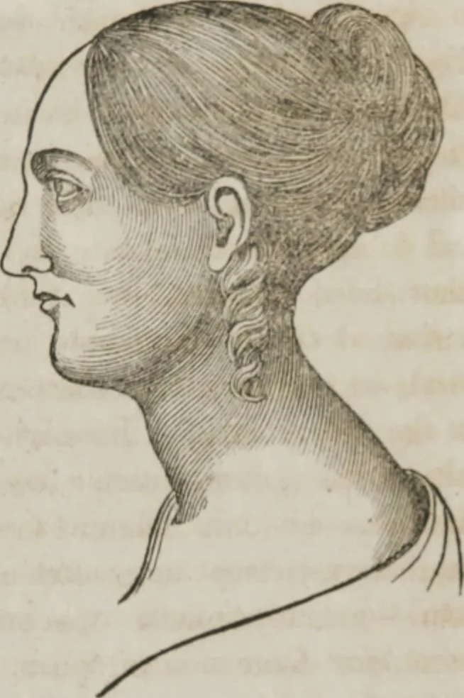 An illustration from Matrimony, or, Phrenology and physiology applied to the selection of congenial companions for life : including directions to the married for living together affectionately and happily, 1851, leaf 60
