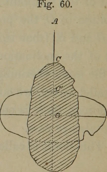 An illustration from Elements of natural philosophy (Volume 1), 1850, leaf 141