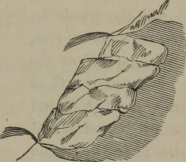 An illustration from Elements of natural philosophy (Volume 1), 1850, leaf 488