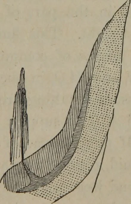 An illustration from Elements of natural philosophy (Volume 1), 1850, leaf 488