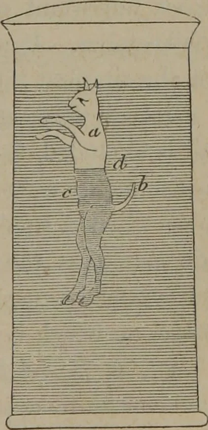 An illustration from Elements of natural philosophy (Volume 1), 1850, leaf 544