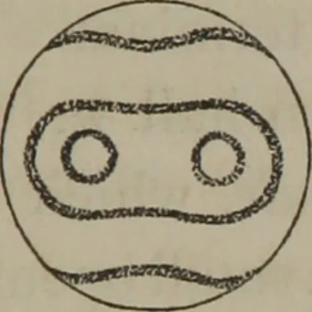 An illustration from Elements of natural philosophy (Volume 2-3), 1850, leaf 144