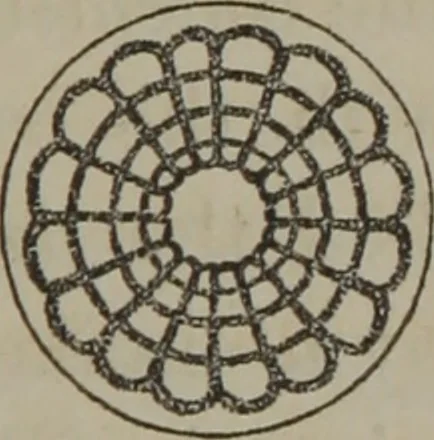 An illustration from Elements of natural philosophy (Volume 2-3), 1850, leaf 144