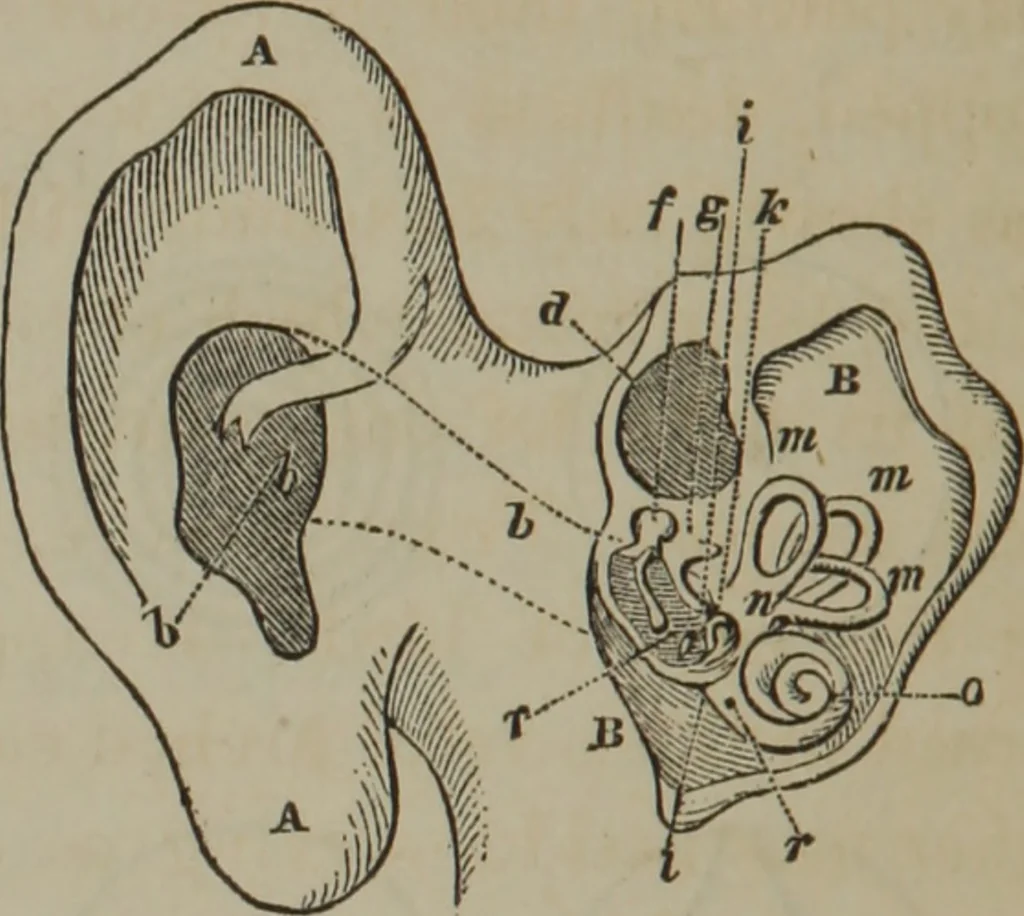 An illustration from Elements of natural philosophy (Volume 2-3), 1850, leaf 145