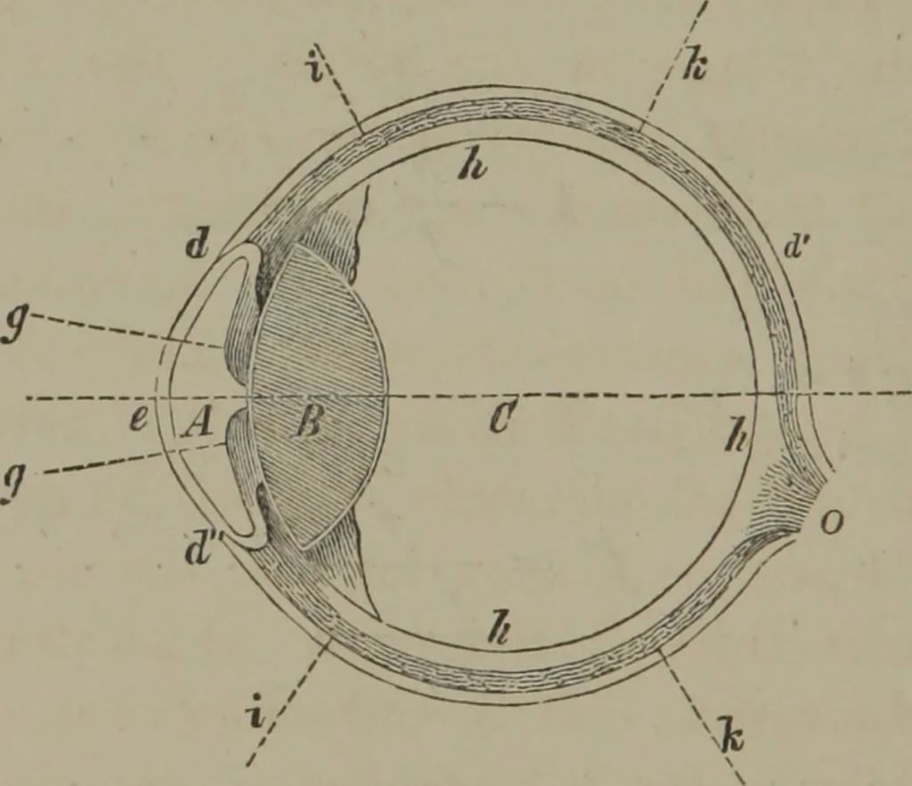 An illustration from Elements of natural philosophy (Volume 2-3), 1850, leaf 241