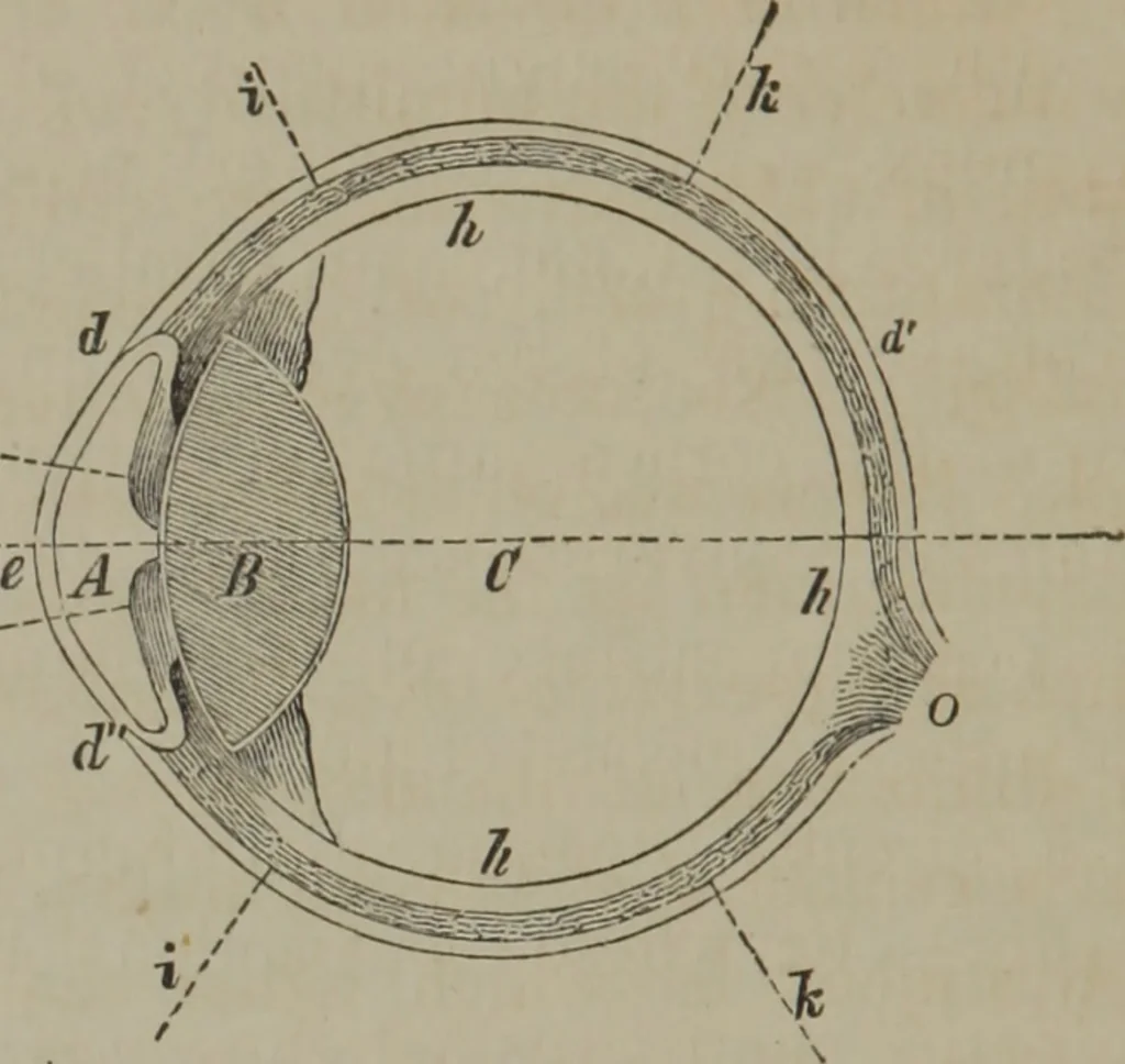 An illustration from Elements of natural philosophy (Volume 2-3), 1850, leaf 243
