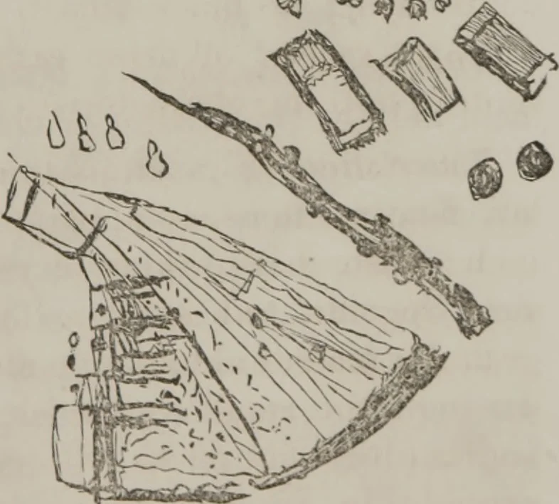 An illustration from Illustrations of disease with the microscope. clinical investigations, aided by the microscope, and by chemical reagents, with microscopical observations of pathological specimens, medical and surgical, obtained in Charleston, S.C. : a contribution intended to disclose the minute history of the diseases prevailing in this latitude, and to assist future students, 1861, leaf 108