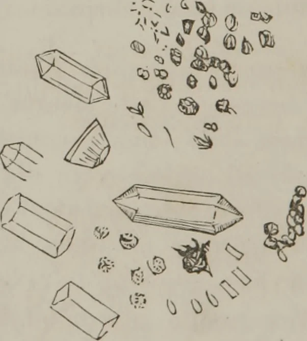 An illustration from Illustrations of disease with the microscope. clinical investigations, aided by the microscope, and by chemical reagents, with microscopical observations of pathological specimens, medical and surgical, obtained in Charleston, S.C. : a contribution intended to disclose the minute history of the diseases prevailing in this latitude, and to assist future students, 1861, leaf 115