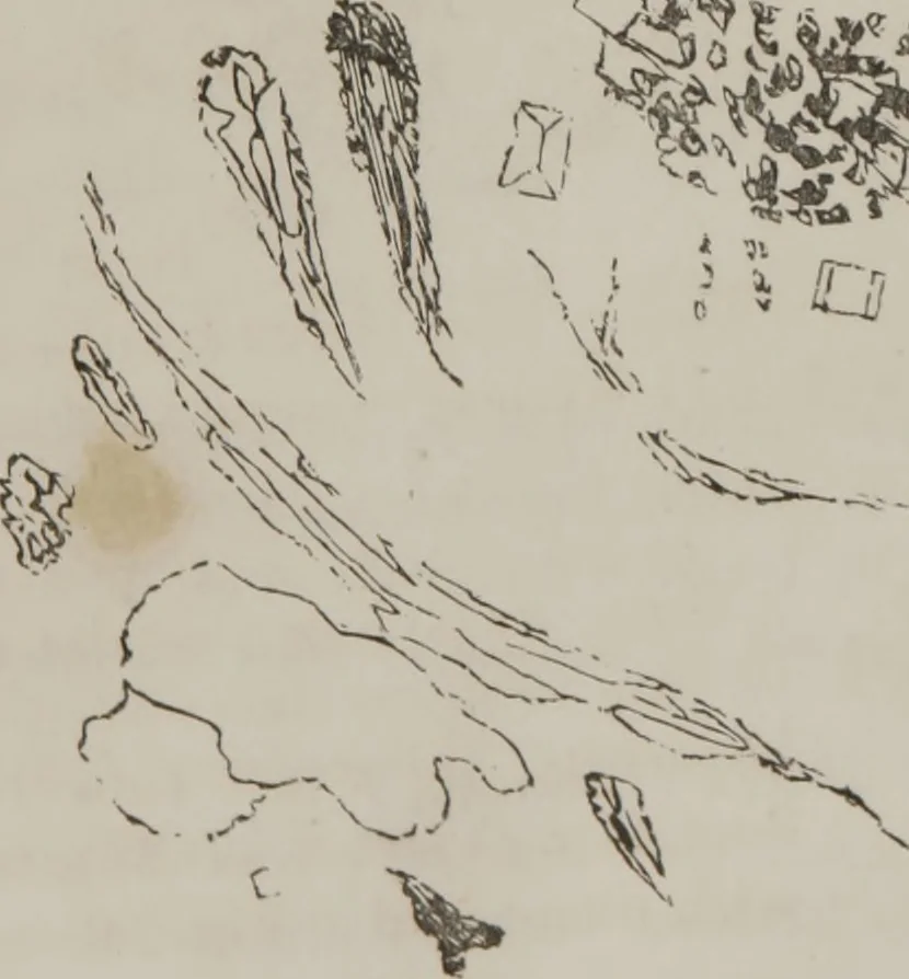 An illustration from Illustrations of disease with the microscope. clinical investigations, aided by the microscope, and by chemical reagents, with microscopical observations of pathological specimens, medical and surgical, obtained in Charleston, S.C. : a contribution intended to disclose the minute history of the diseases prevailing in this latitude, and to assist future students, 1861, leaf 120