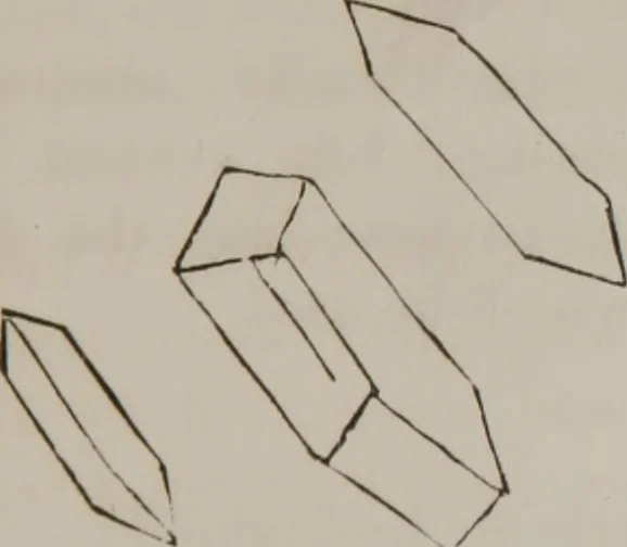 An illustration from Illustrations of disease with the microscope. clinical investigations, aided by the microscope, and by chemical reagents, with microscopical observations of pathological specimens, medical and surgical, obtained in Charleston, S.C. : a contribution intended to disclose the minute history of the diseases prevailing in this latitude, and to assist future students, 1861, leaf 136