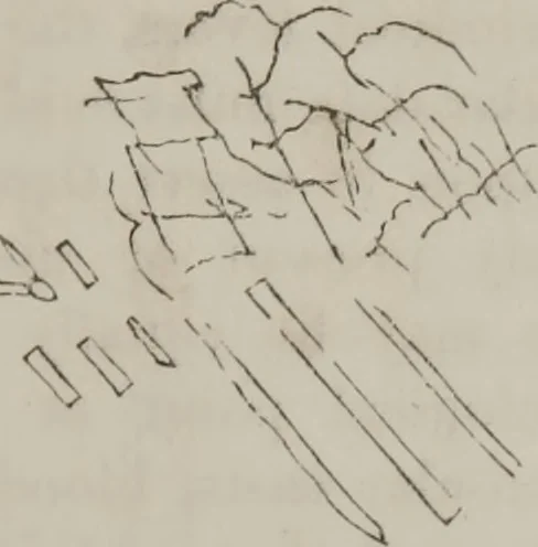 An illustration from Illustrations of disease with the microscope. clinical investigations, aided by the microscope, and by chemical reagents, with microscopical observations of pathological specimens, medical and surgical, obtained in Charleston, S.C. : a contribution intended to disclose the minute history of the diseases prevailing in this latitude, and to assist future students, 1861, leaf 94