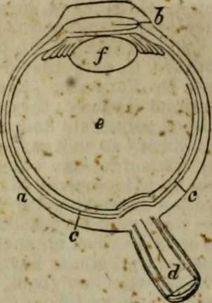 An illustration from A Dictionary of science, literature, and art [electronic resource]: comprising the history, description, and scientific principles of every branch of human knowledge; with the derivation and definition of all the terms in general use, 1844, leaf 447