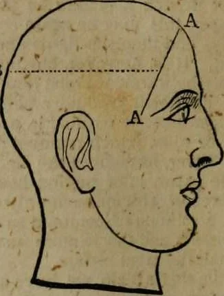 An illustration from A Dictionary of science, literature, and art [electronic resource]: comprising the history, description, and scientific principles of every branch of human knowledge; with the derivation and definition of all the terms in general use, 1844, leaf 940