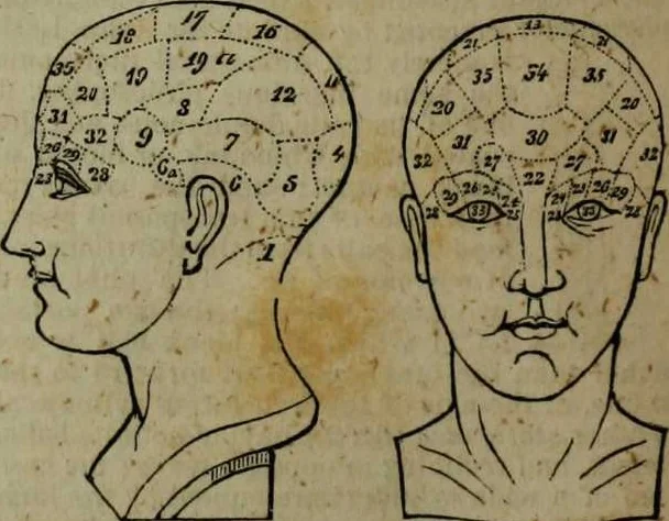 An illustration from A Dictionary of science, literature, and art [electronic resource]: comprising the history, description, and scientific principles of every branch of human knowledge; with the derivation and definition of all the terms in general use, 1844, leaf 940