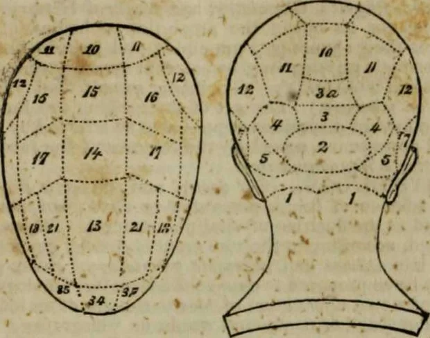 An illustration from A Dictionary of science, literature, and art [electronic resource]: comprising the history, description, and scientific principles of every branch of human knowledge; with the derivation and definition of all the terms in general use, 1844, leaf 941