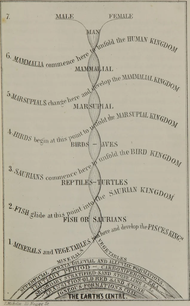 An illustration from The great harmonia : being a philosophical revelation of the natural, spiritual, and celestial universe, 1850, leaf 26