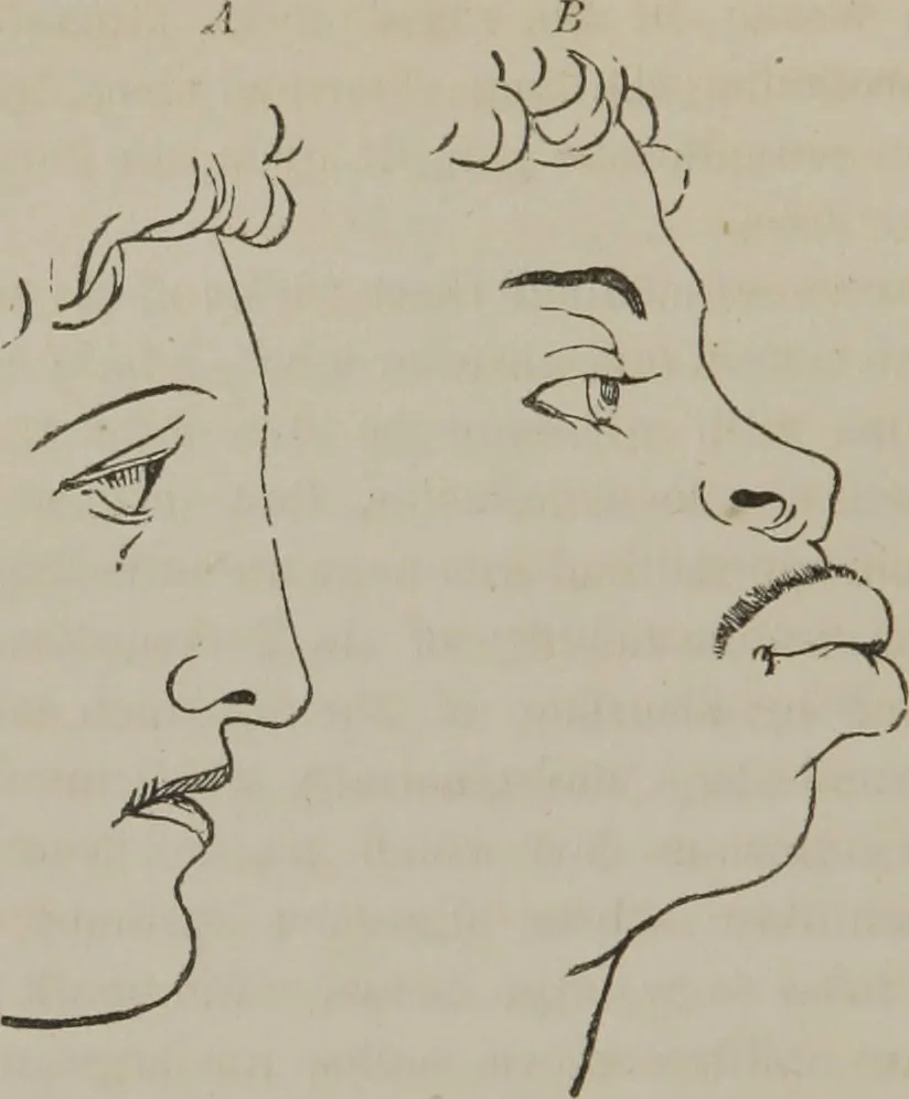 An illustration from The mysteries of human nature explained by a new system of nervous physiology : to which is added, a review of the errors of spiritualism, and instructions for developing or resisting the influence by which subjects and mediums are made, 1857, leaf 289