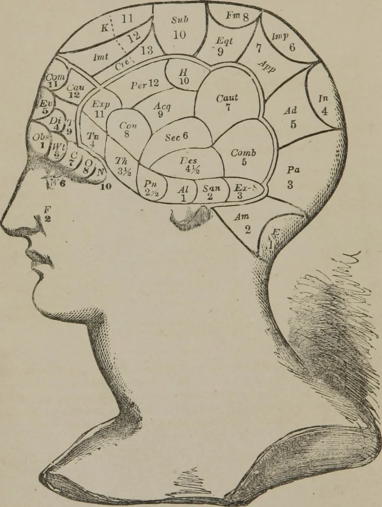 An illustration from The mysteries of human nature explained by a new system of nervous physiology : to which is added, a review of the errors of spiritualism, and instructions for developing or resisting the influence by which subjects and mediums are made, 1857, leaf 3