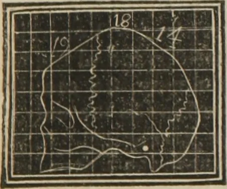 An illustration from A guide to phrenology : designed to illustrate the science of the human mind as manifested through the brain : embracing the fundamental principles of phrenology : its utility to parents and teachers in developing and educating the mental faculties of the rising generation, and of self improvement : together with the adaptation of each of the organs and a phrenological chart, in seven degrees of development with numerous combinations, 1842, leaf 116