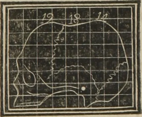 An illustration from A guide to phrenology : designed to illustrate the science of the human mind as manifested through the brain : embracing the fundamental principles of phrenology : its utility to parents and teachers in developing and educating the mental faculties of the rising generation, and of self improvement : together with the adaptation of each of the organs and a phrenological chart, in seven degrees of development with numerous combinations, 1842, leaf 116