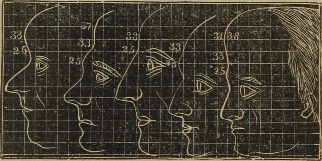 An illustration from A guide to phrenology : designed to illustrate the science of the human mind as manifested through the brain : embracing the fundamental principles of phrenology : its utility to parents and teachers in developing and educating the mental faculties of the rising generation, and of self improvement : together with the adaptation of each of the organs and a phrenological chart, in seven degrees of development with numerous combinations, 1842, leaf 143