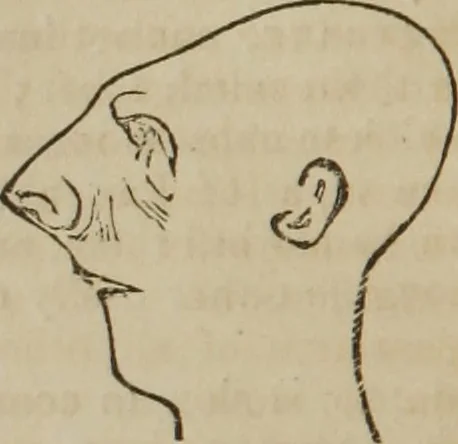 An illustration from A guide to phrenology : designed to illustrate the science of the human mind as manifested through the brain : embracing the fundamental principles of phrenology : its utility to parents and teachers in developing and educating the mental faculties of the rising generation, and of self improvement : together with the adaptation of each of the organs and a phrenological chart, in seven degrees of development with numerous combinations, 1842, leaf 177