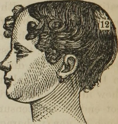 An illustration from The illustrated self-instructor in phrenology and physiology : with over one hundred engravings : together with the chart and character of ... as marked by ..., 1859, leaf 111
