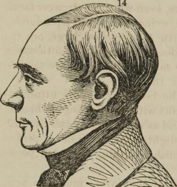 An illustration from The illustrated self-instructor in phrenology and physiology : with over one hundred engravings : together with the chart and character of ... as marked by ..., 1859, leaf 117