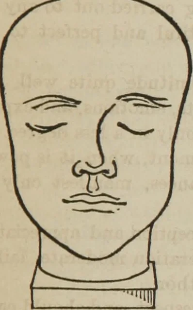 An illustration from The illustrated self-instructor in phrenology and physiology : with over one hundred engravings : together with the chart and character of ... as marked by ..., 1859, leaf 138