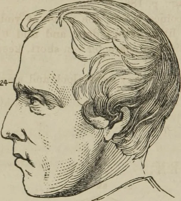 An illustration from The illustrated self-instructor in phrenology and physiology : with over one hundred engravings : together with the chart and character of ... as marked by ..., 1859, leaf 145
