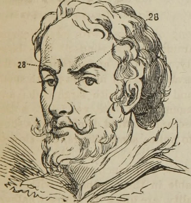 An illustration from The illustrated self-instructor in phrenology and physiology : with over one hundred engravings : together with the chart and character of ... as marked by ..., 1859, leaf 146