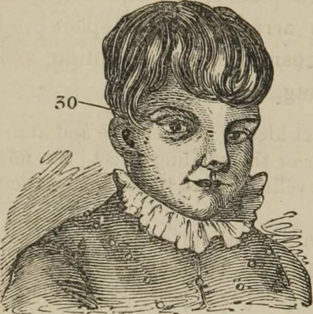 An illustration from The illustrated self-instructor in phrenology and physiology : with over one hundred engravings : together with the chart and character of ... as marked by ..., 1859, leaf 153