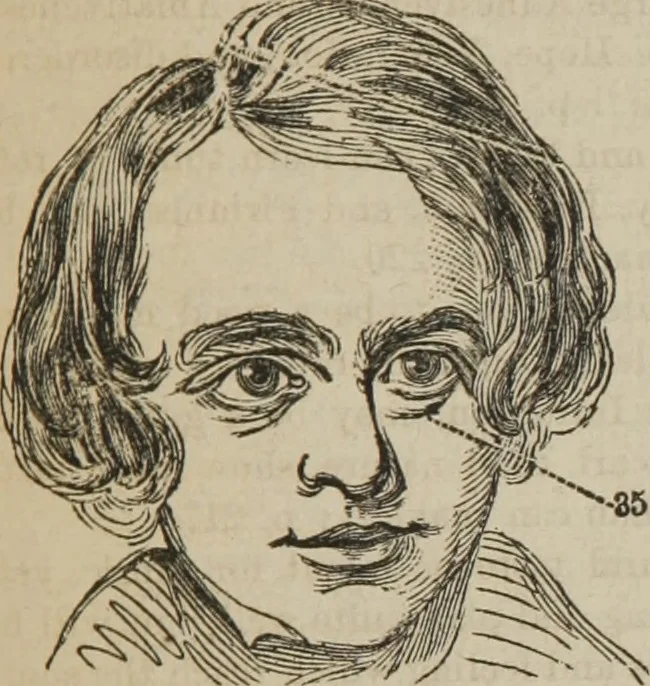 An illustration from The illustrated self-instructor in phrenology and physiology : with over one hundred engravings : together with the chart and character of ... as marked by ..., 1859, leaf 160