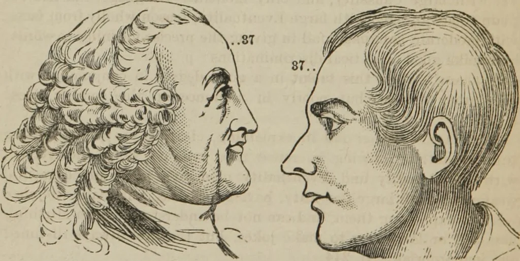 An illustration from The illustrated self-instructor in phrenology and physiology : with over one hundred engravings : together with the chart and character of ... as marked by ..., 1859, leaf 165