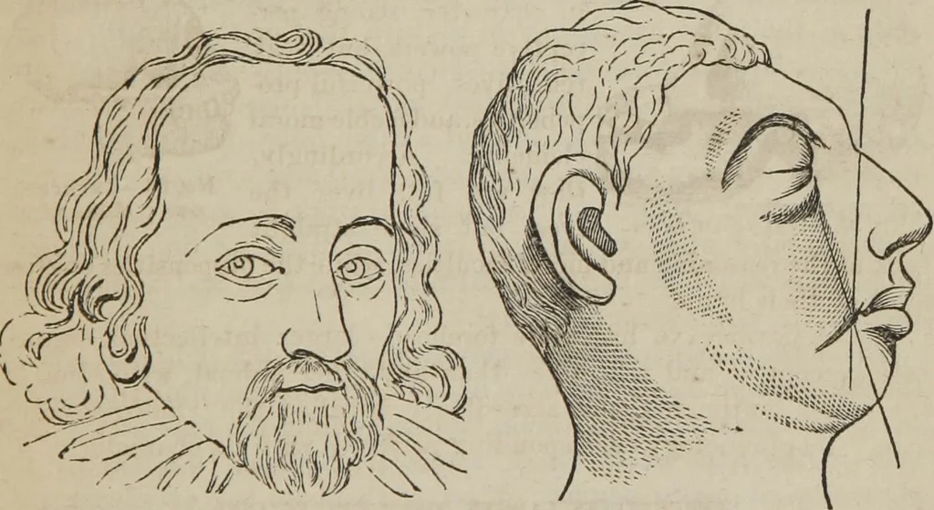 An illustration from The illustrated self-instructor in phrenology and physiology : with over one hundred engravings : together with the chart and character of ... as marked by ..., 1859, leaf 68